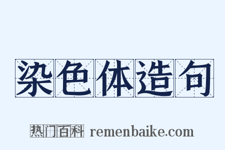 染色体造句是什么意思的图片